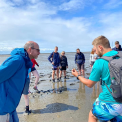 Wadlopen